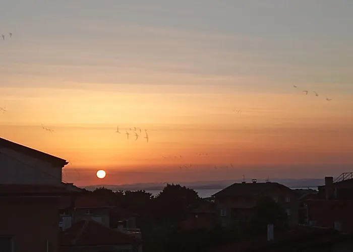 екопойнт Черноморец